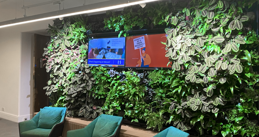 green wall for sustainability